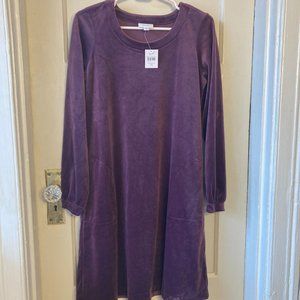 J. Jill Pure Jill Huckleberry Purple Velvet Velour Shift Dress